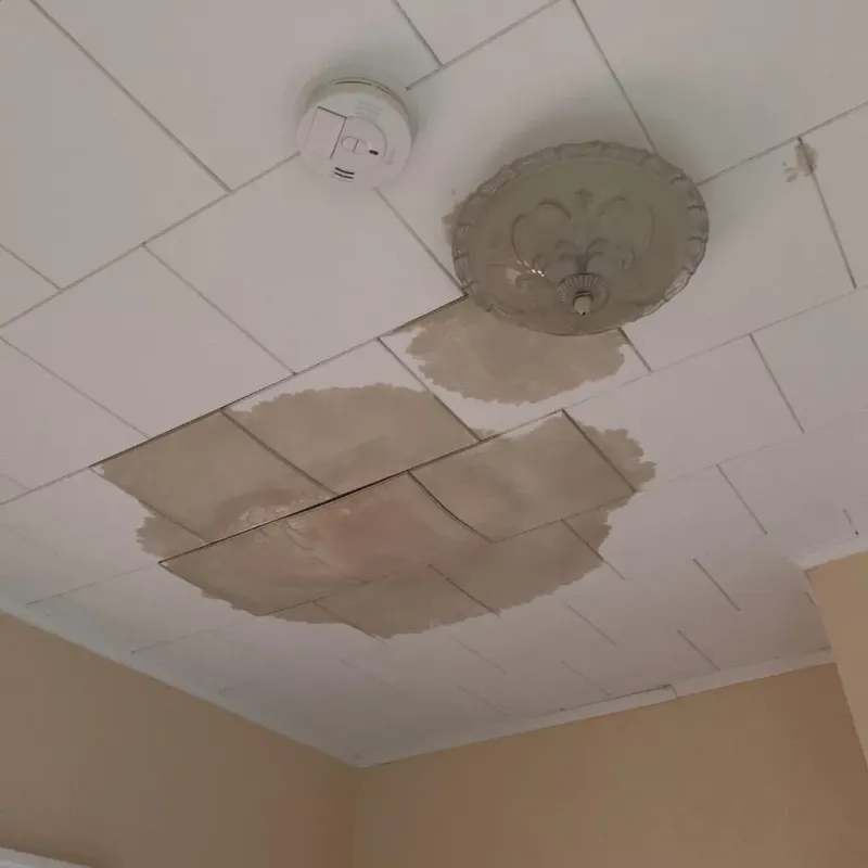 Ceiling Water Damage Repair in Sumner, IA