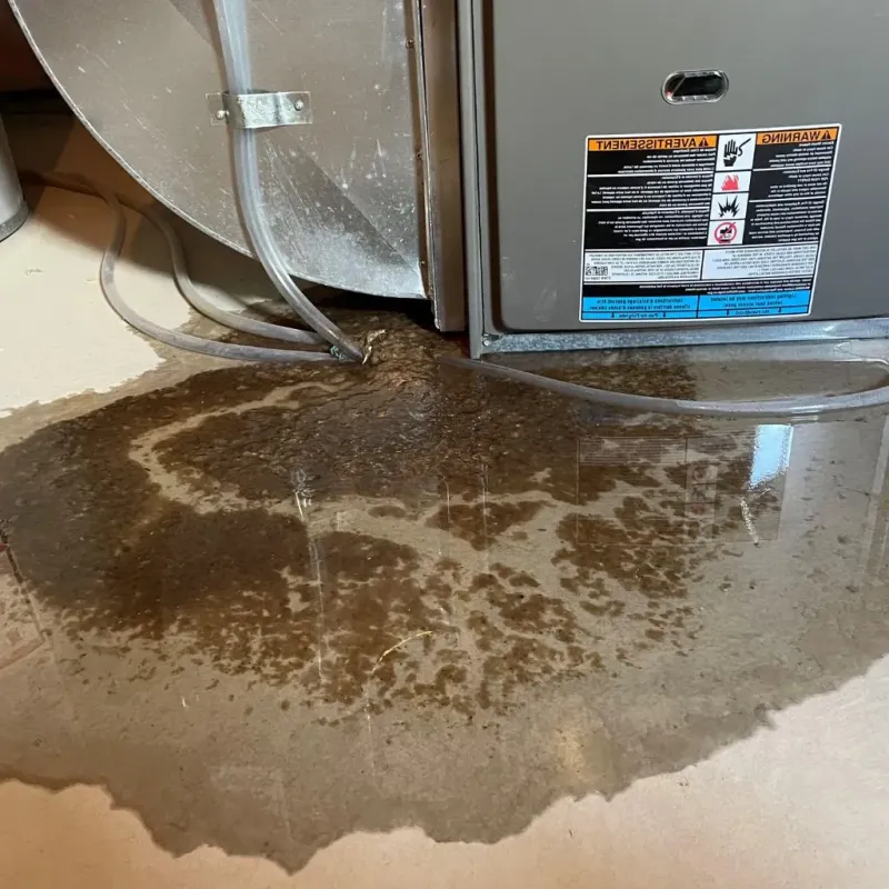 Pipe Burst and Leak Restoration in Sumner, IA