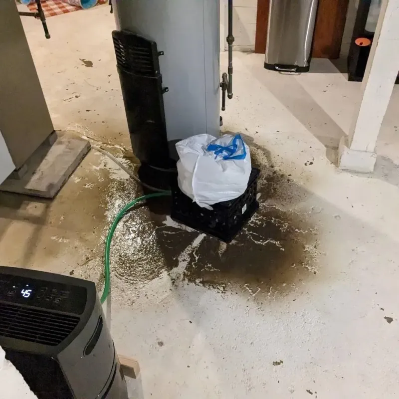 Sewage Backup Cleanup Service in Sumner, IA
